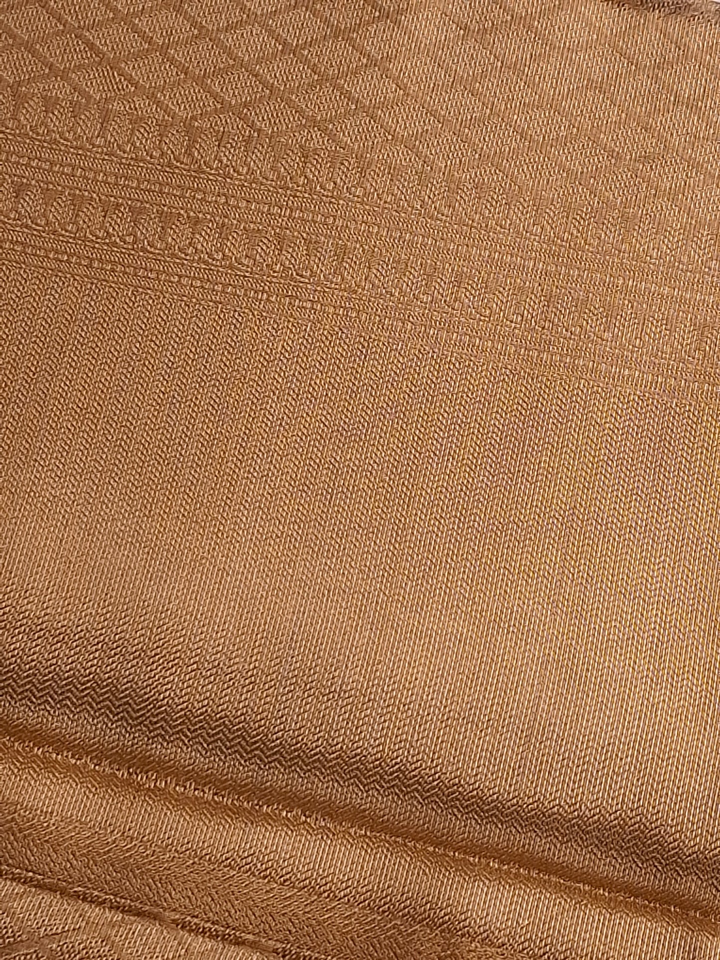 Gold Tissue Saree with Elegant Zari Weaving Designs