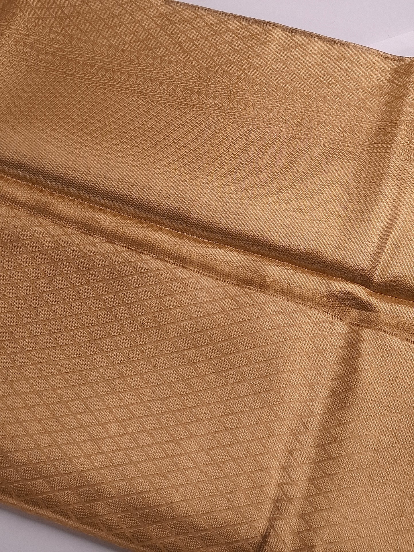 Gold Tissue Saree with Elegant Zari Weaving Design