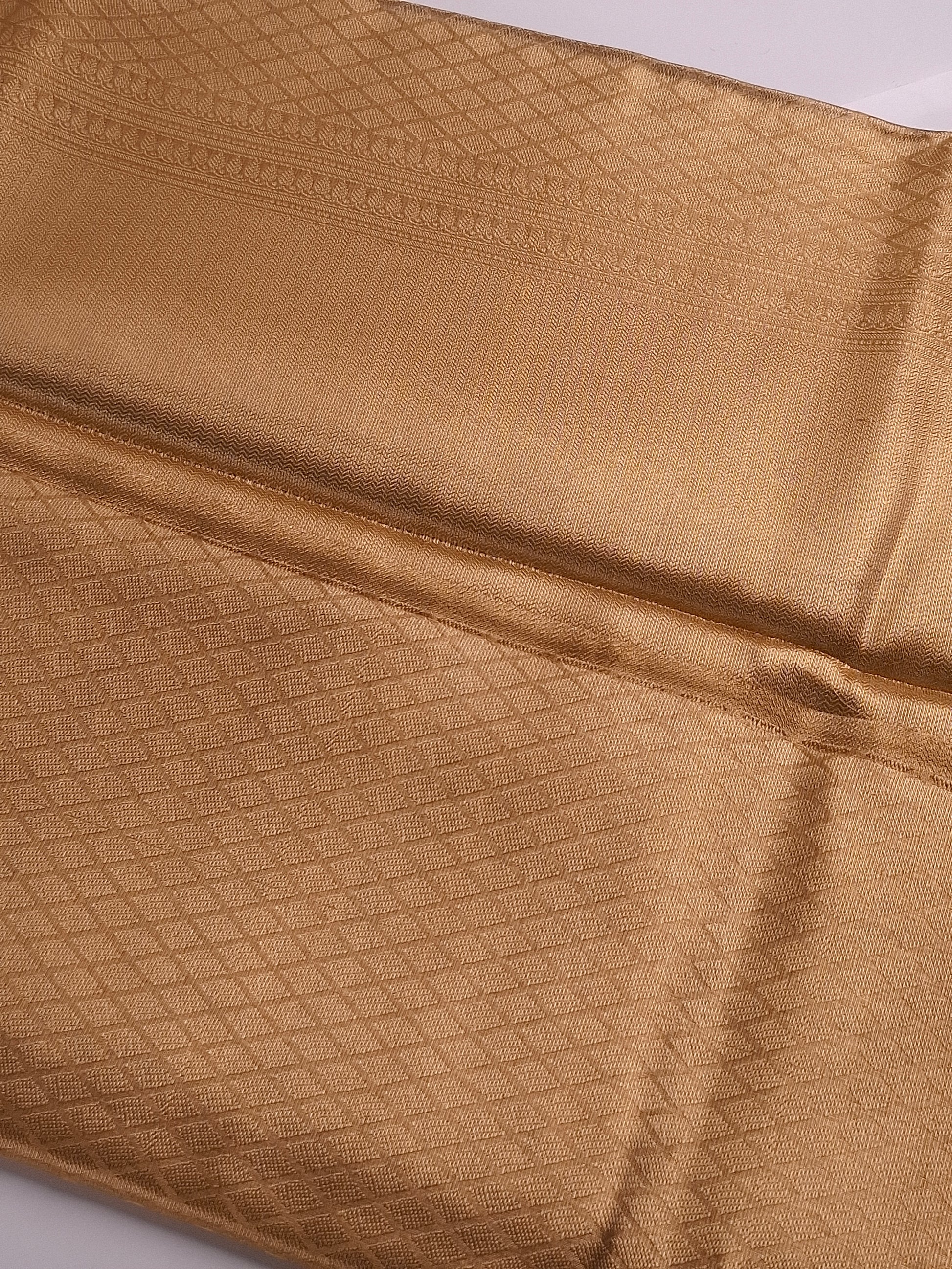 Gold Tissue Saree with Elegant Zari Weaving Design