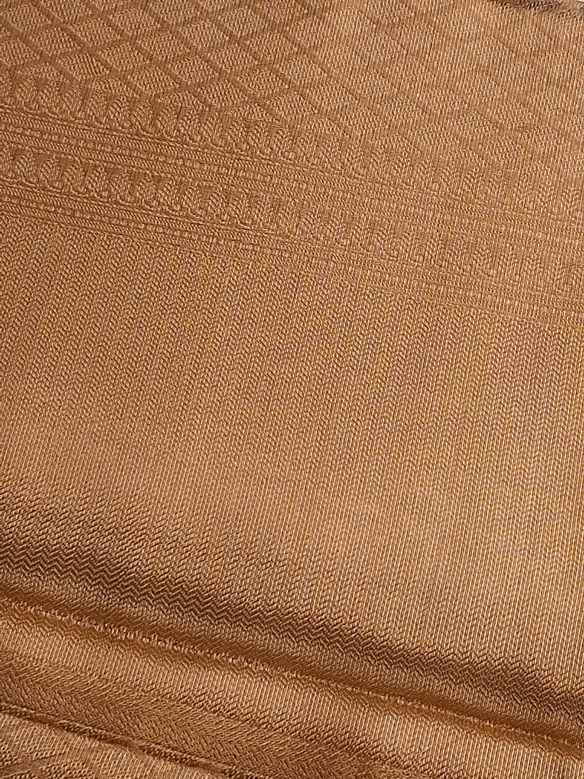 Gold Tissue Saree with Elegant Zari Weaving Designs