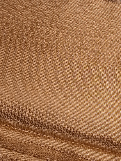 Gold Tissue Saree with Elegant Zari Weaving Designs