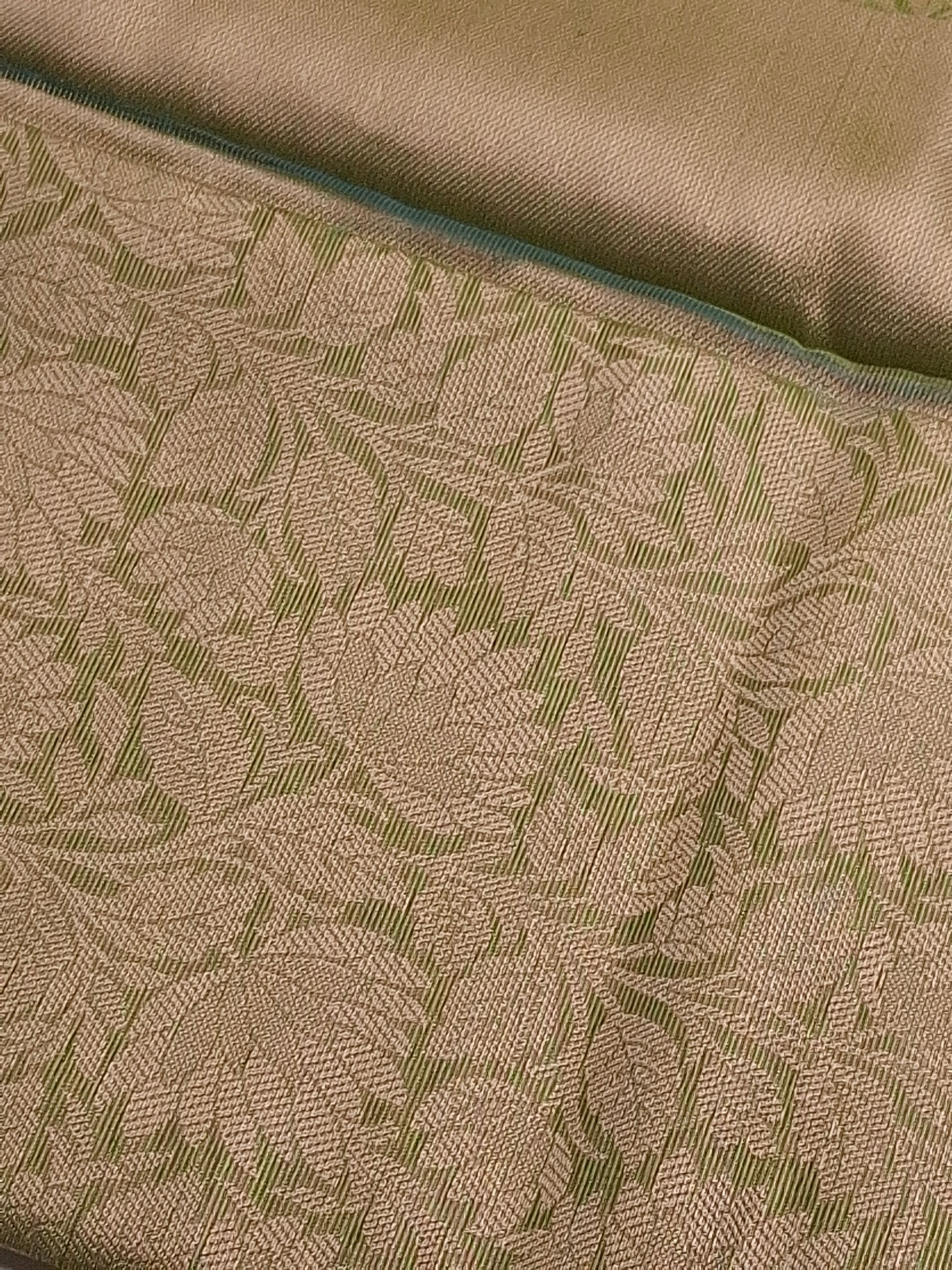 Green Tissue Saree with Elegant Zari Weaving Design